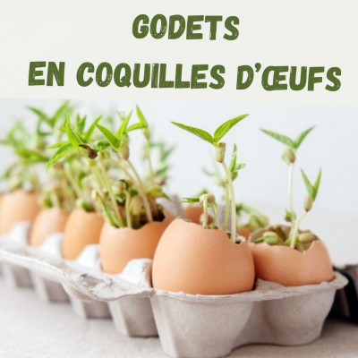Godet coquille d oeuf miniature