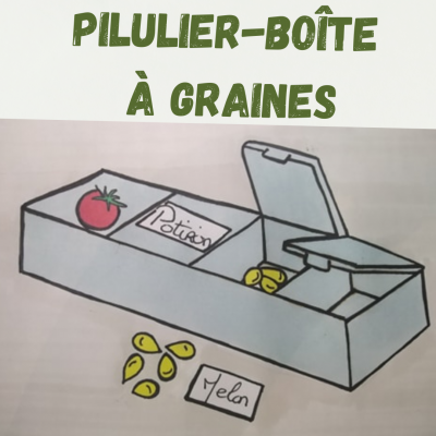 Miniature pilulier boite a graine